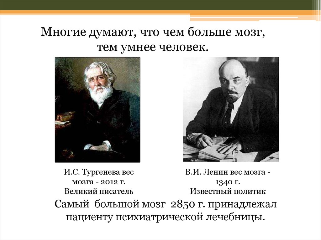 Многие думают. Вес мозга известных личностей. Вес мозга известных людей. Мозг Тургенева. Масса мозга выдающихся людей.