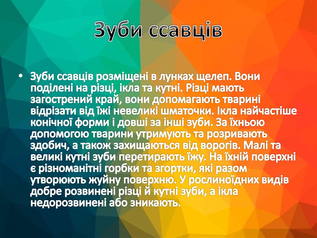 Зуби ссавців