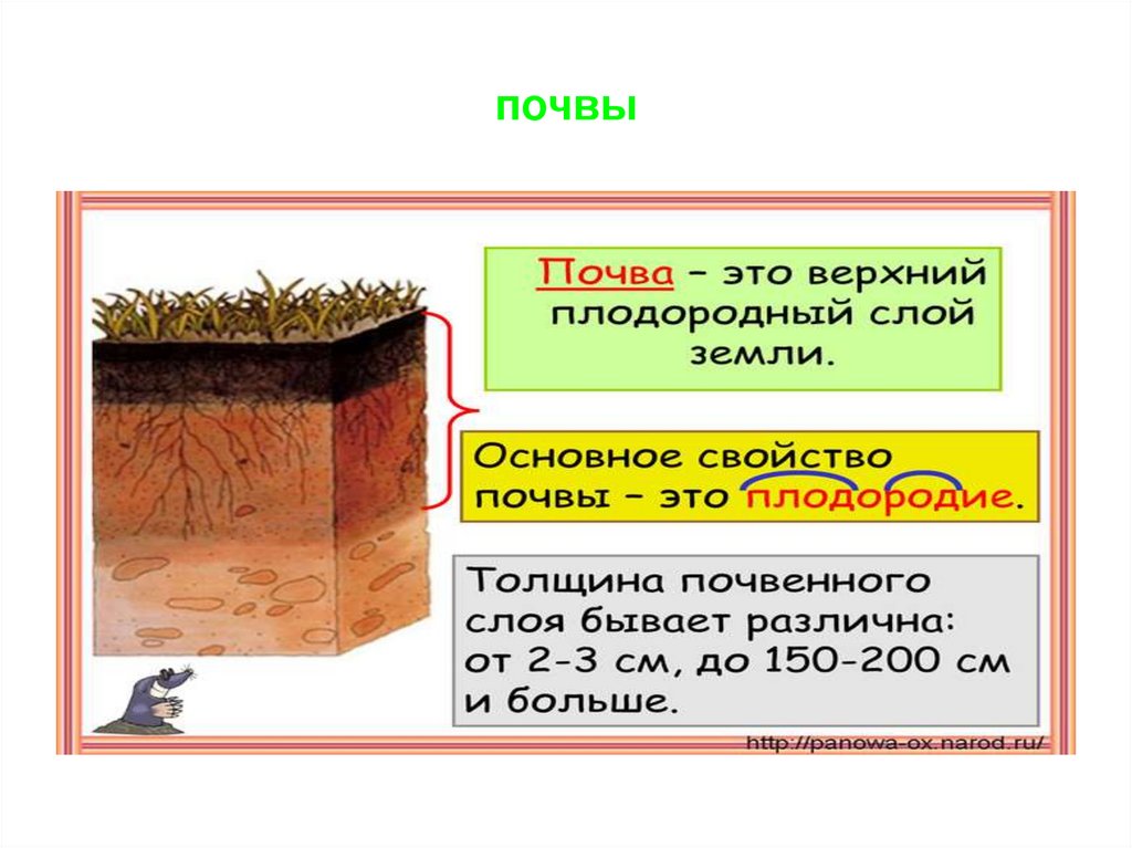 Почва презентация. Почва картинки для презентации. Почвы Псковской области. Тип почвы Псковская область. Виды почв Псковской области.