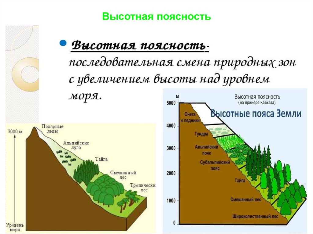 Зоны ВЫСОТНОЙ поясности. Высотная поясность Урала. Высотная поясность пояса горных тундр. Высотная поясность в горных системах Евразии. Природная поясность урала