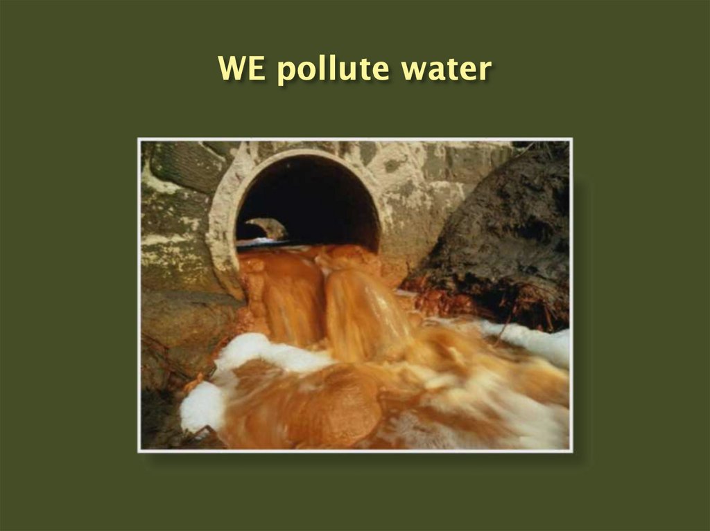WE pollute water
