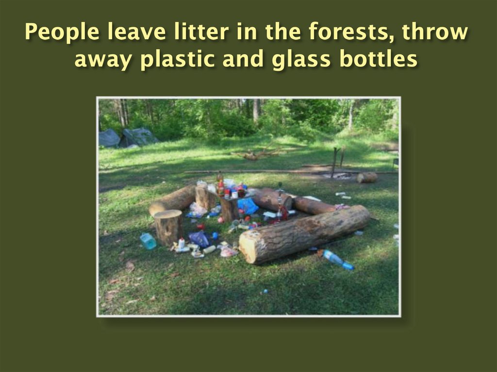 People leave litter in the forests, throw away plastic and glass bottles