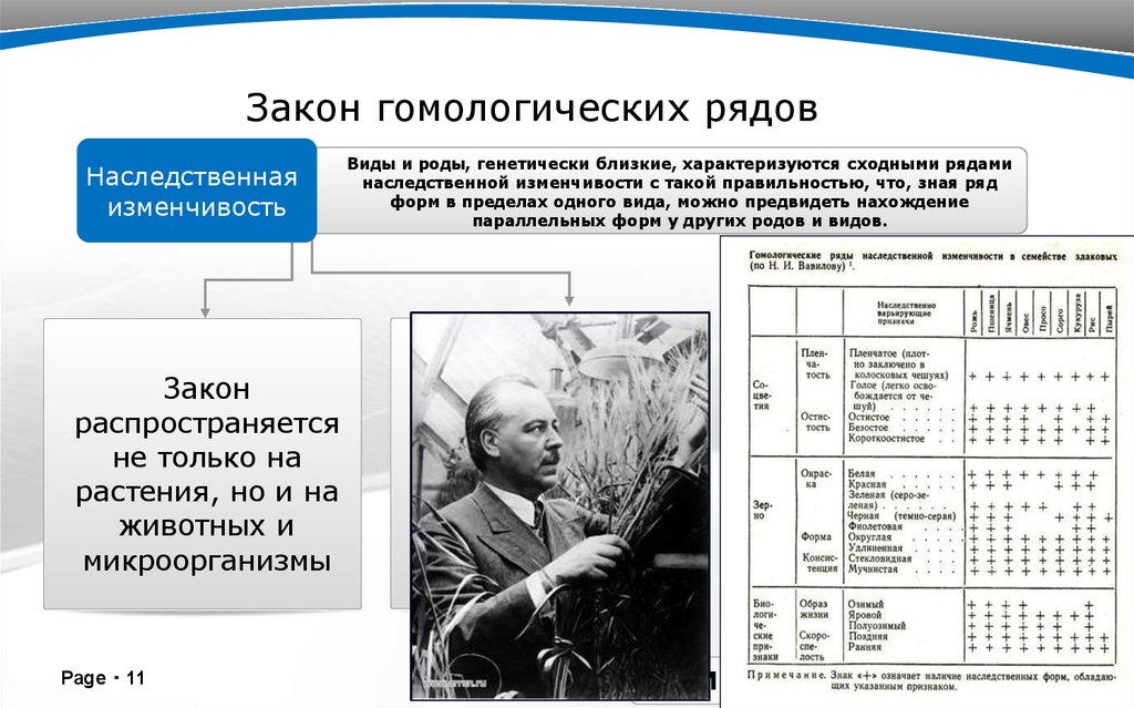 Общебиологическое значение закона гомологических рядов