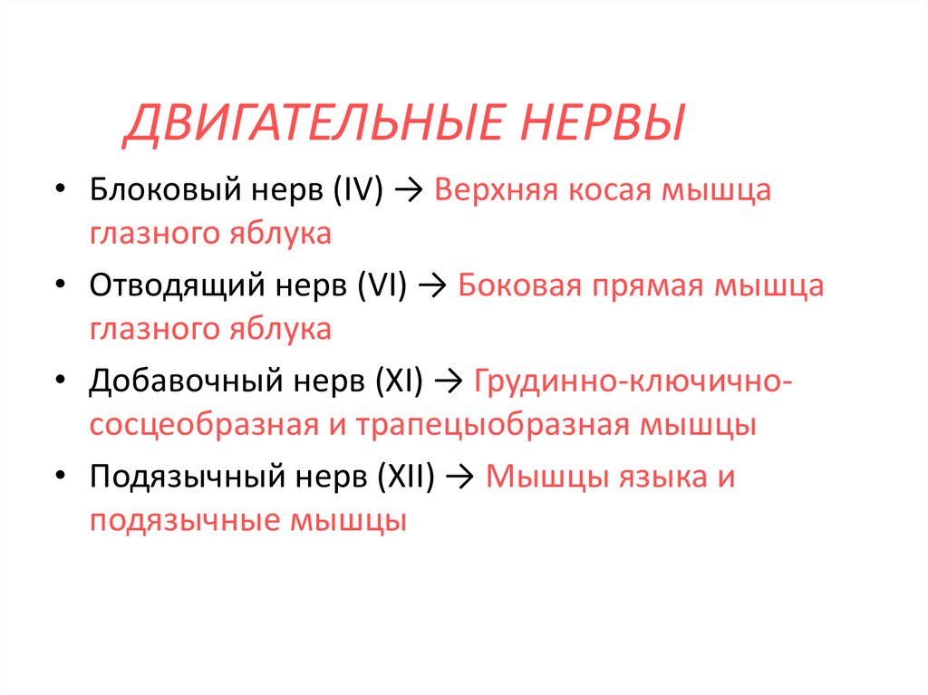 Двигательные нервы