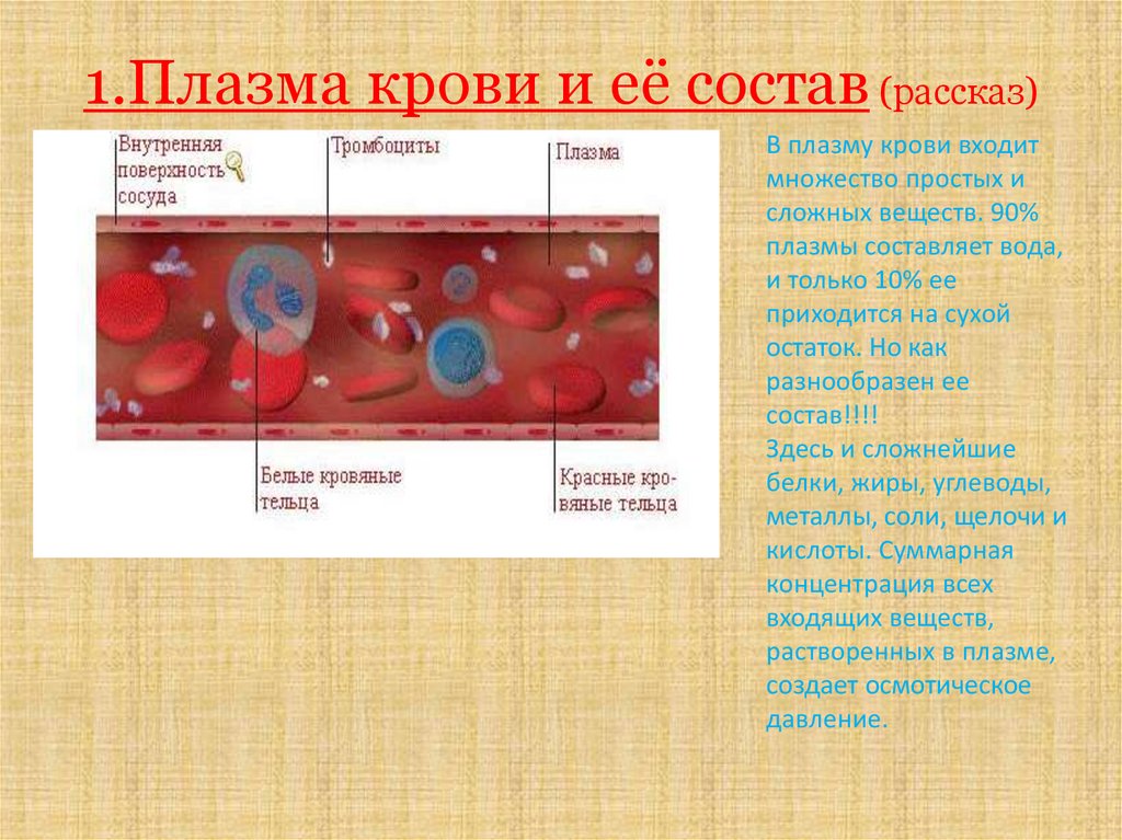 Строение плазмы крови. Строение состав и функции плазмы крови. Состав и функции крови плазма крови. Показатель РН плазмы крови отражает.