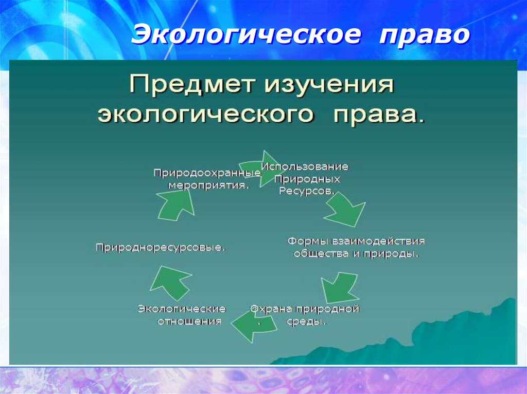 11 класс обществознание экологическое право презентация