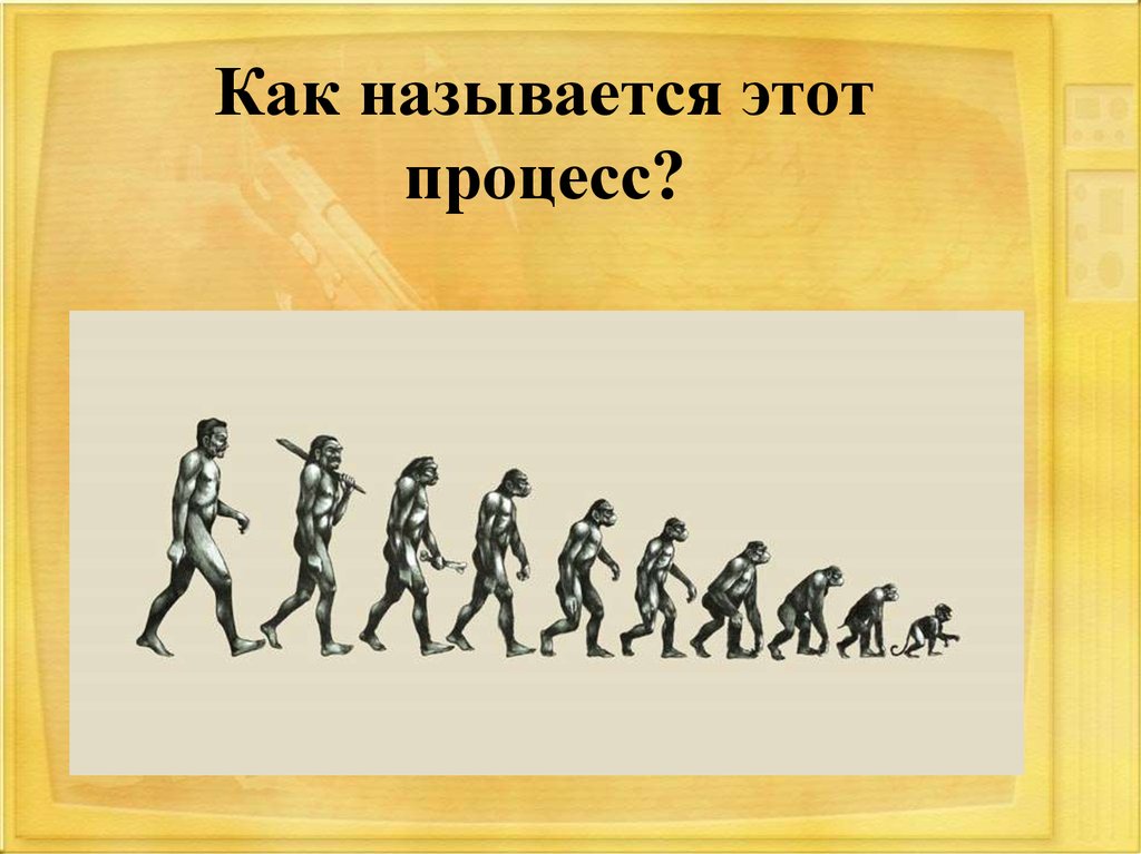 Как называется этот процесс?