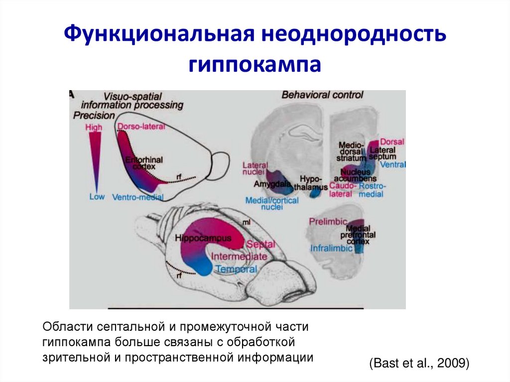 Клетки места