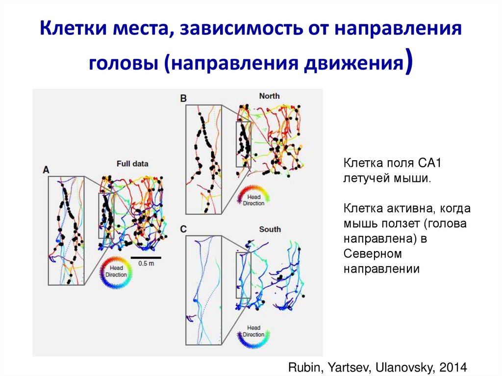 Место зависимость