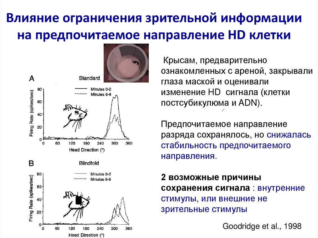 Влияние ограничено