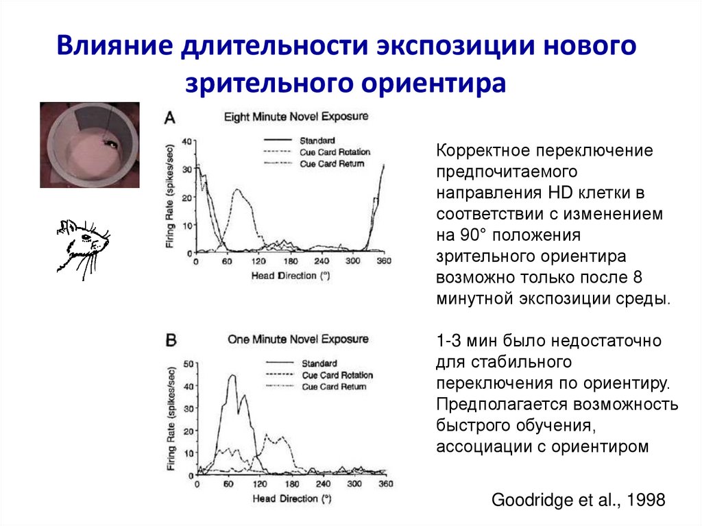 Влияние продолжительности