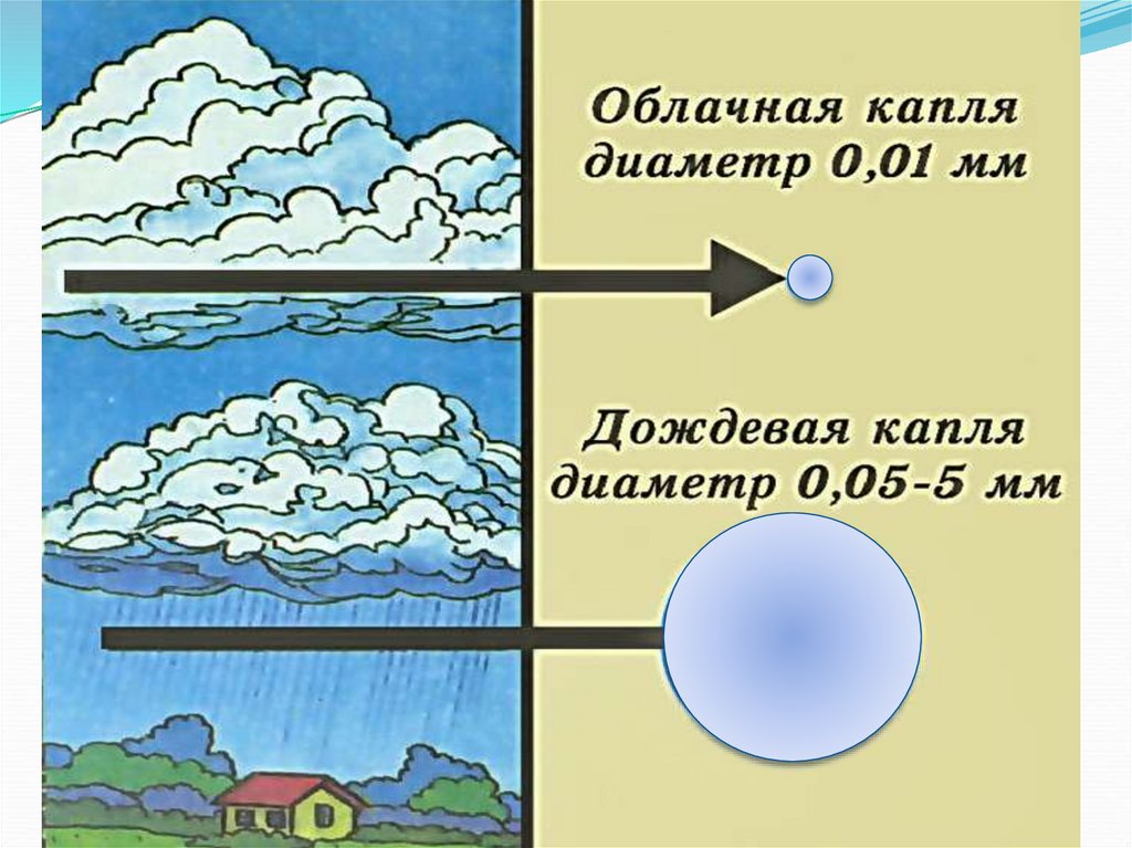 Влажность атмосферные осадки