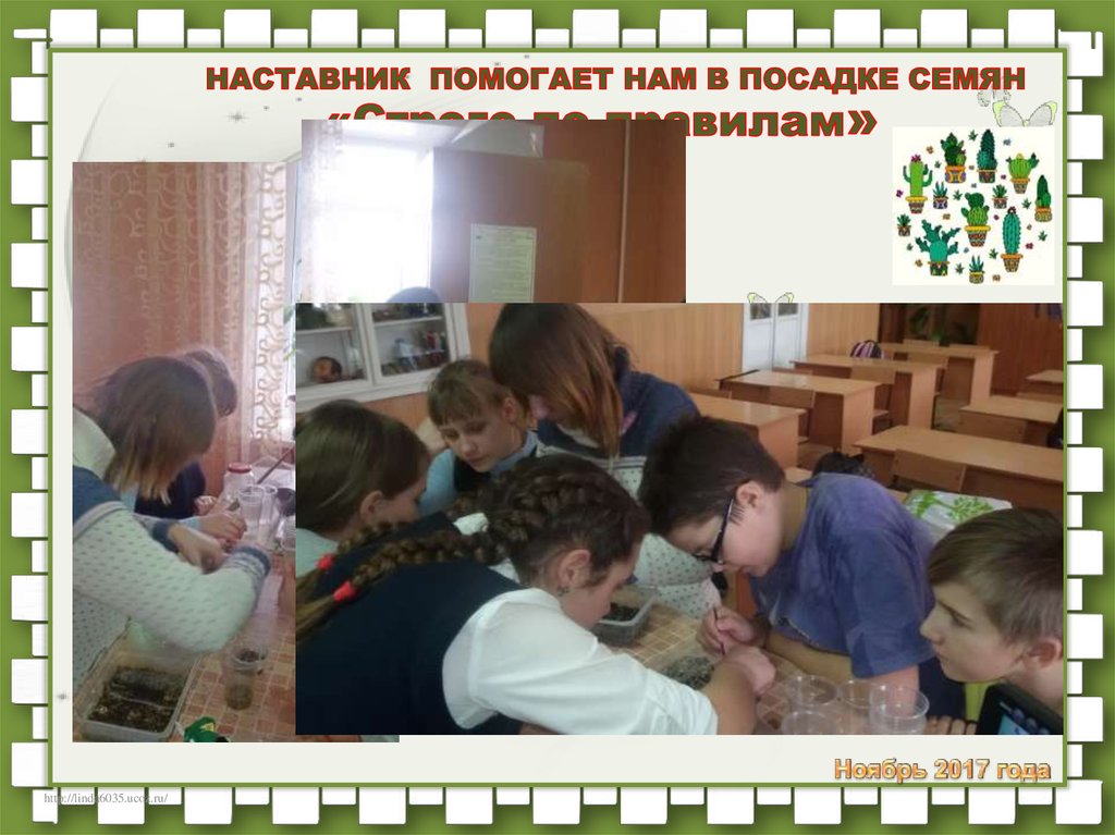 НАСТАВНИК ПОМОГАЕТ НАМ В ПОСАДКЕ СЕМЯН «Строго по правилам»