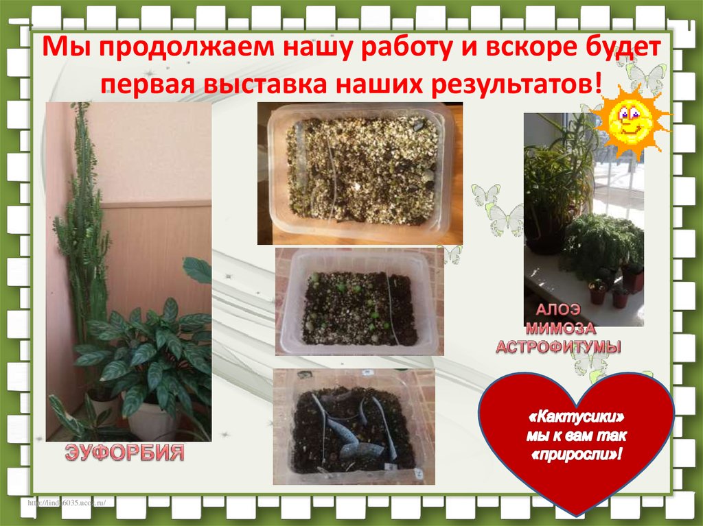 Мы продолжаем нашу работу и вскоре будет первая выставка наших результатов!