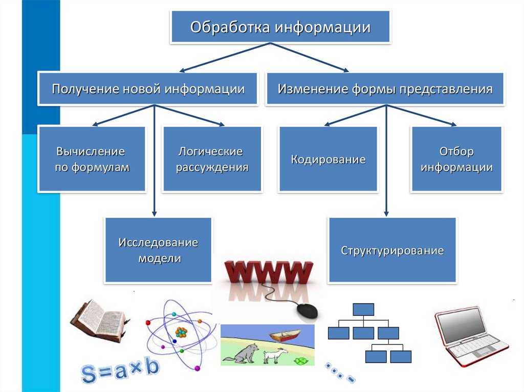 Обработка информации презентация