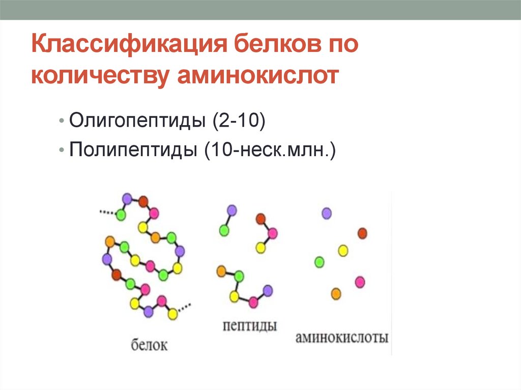 Классификация белков