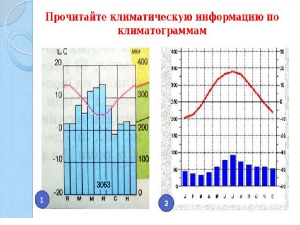 По климатической диаграмме определите тип климата