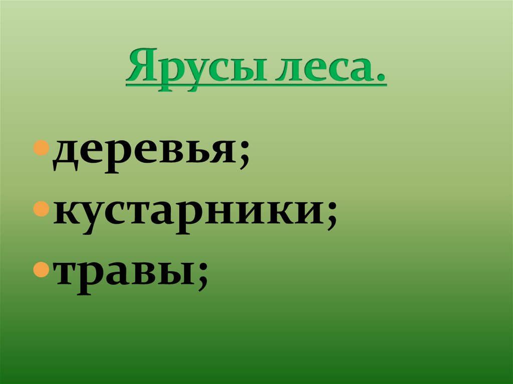 Природное сообщество лес ярусы. Ярусы леса. Природное сообщество лес. Жизнь леса. 5 Ярус леса.