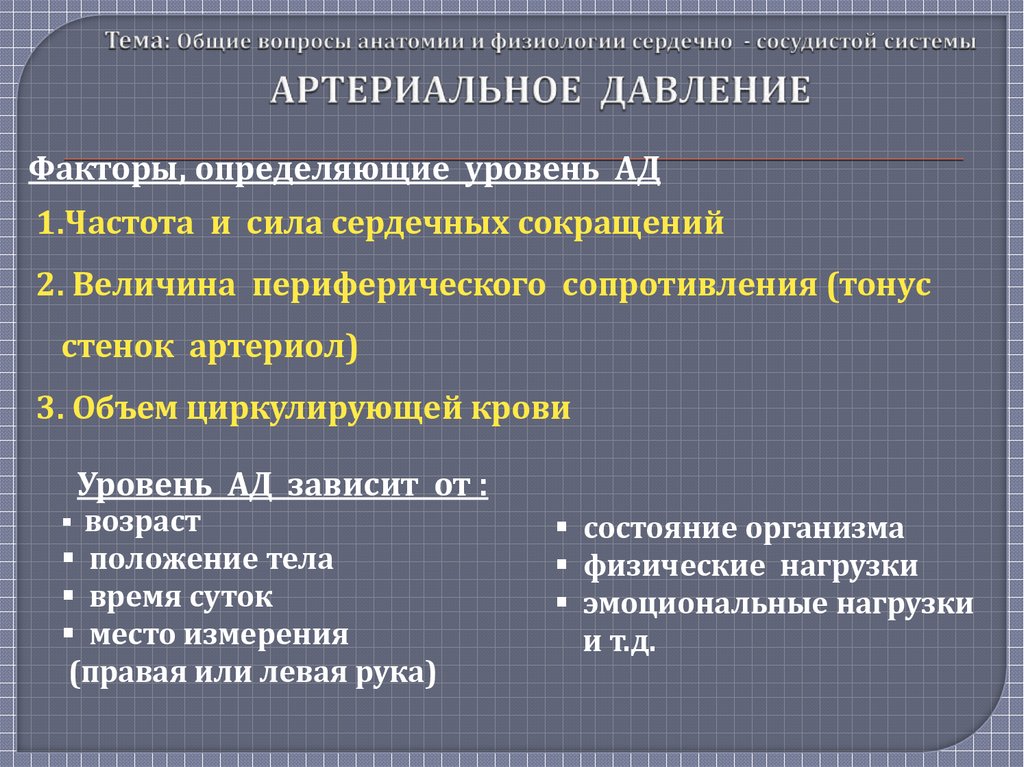 Общие вопросы анатомии и физиологии. Вопросы по анатомии.