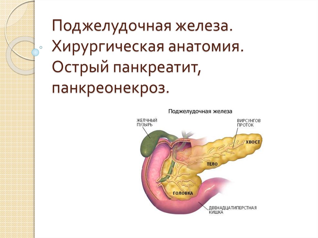 Бад поджелудочная железа. Острый панкреатит панкреонекроз. Панкреатический некроз поджелудочной. Панкреатит поджелудочной железы анатомия. Капсула поджелудочной железы анатомия.