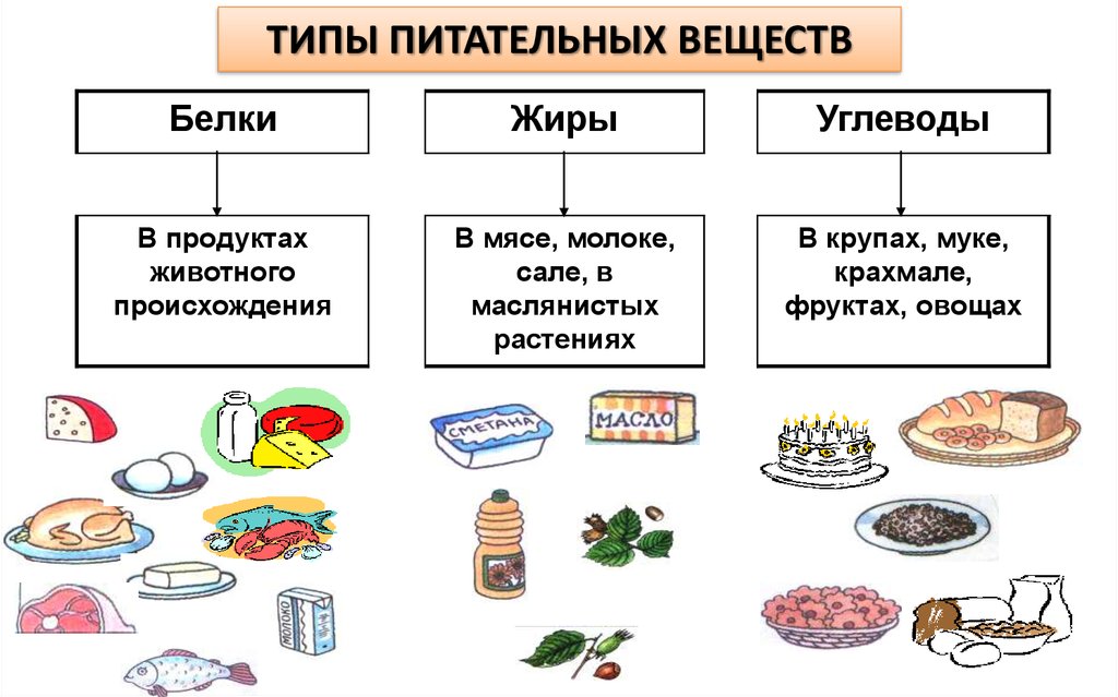 В какой части находятся питательные вещества. Питательные вещества белки жиры углеводы. Питательные вещества в продуктах питания схема.