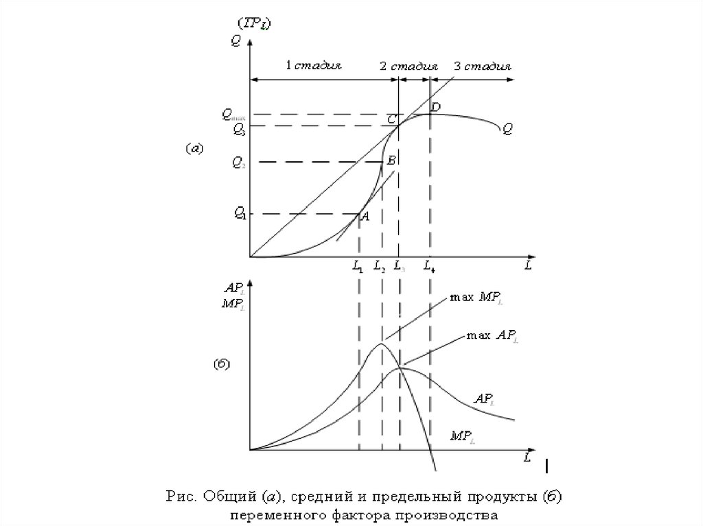 Средний продукт переменного ресурса. Совокупный средний и предельный продукт график. Общий средний и предельный продукты факторов производства. График среднего продукта и предельного продукта. Общий средний и предельный продукт переменного фактора производства.