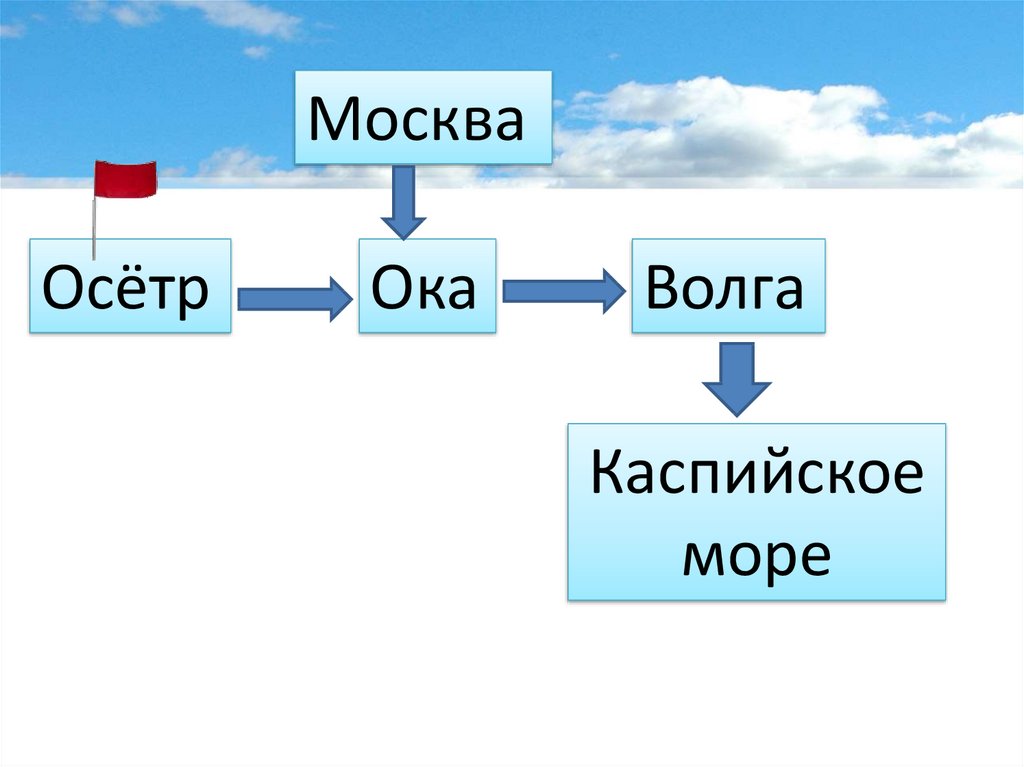 Куда текут реки 1 класс школа. Ока Волга Каспийское море. Осетр Ока Волга Каспийское море. Река осетр река Москва река Волга Каспийское море. Москва река Ока Волга.