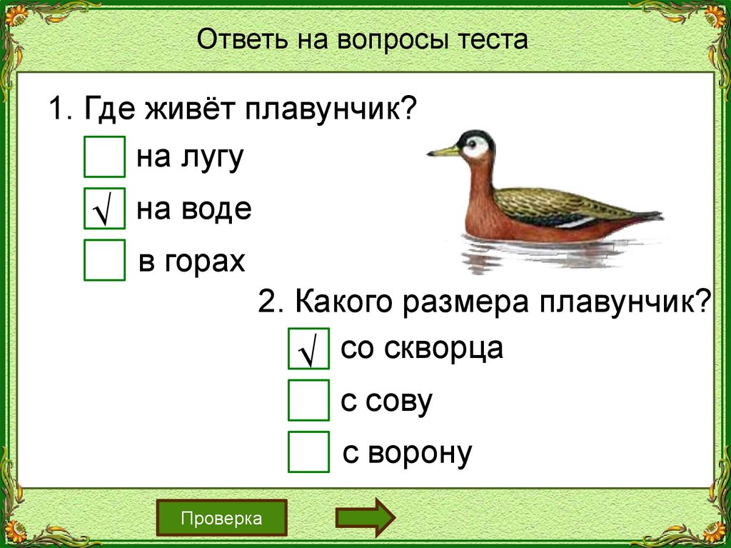 Бианки плавунчик презентация