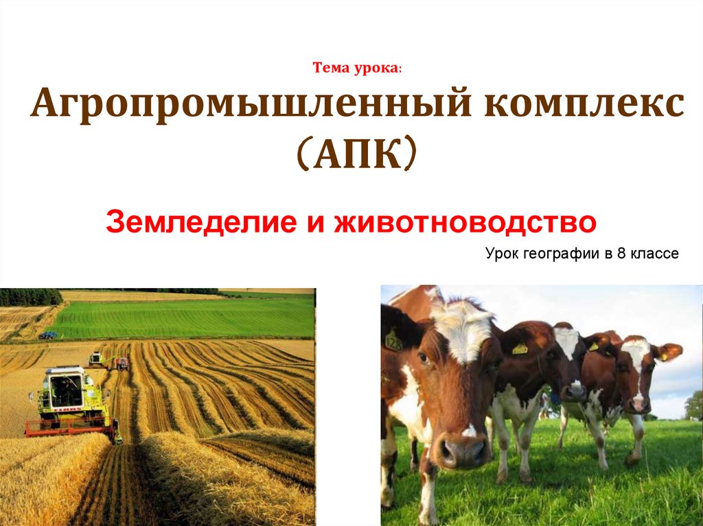 Апк определение. Агропромышленный комплекс АПК. АПК презентация. Агропромышленный комплекс презентация. Презентация на тему агропромышленный комплекс.