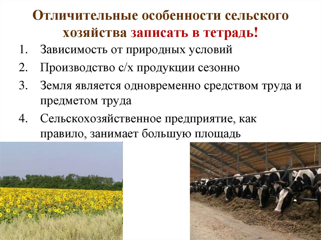 Проблемы производства сельскохозяйственной
