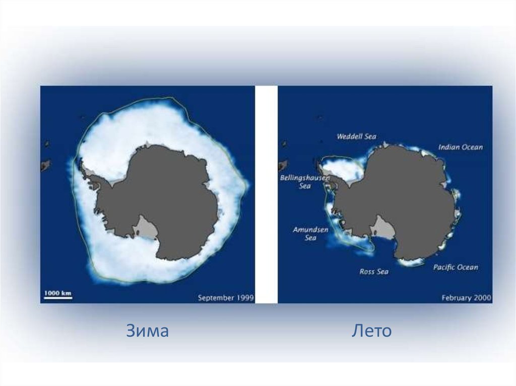 Беллинсгаузена море на карте