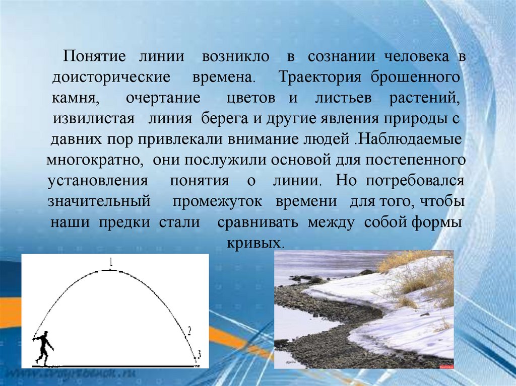 Понятие линия