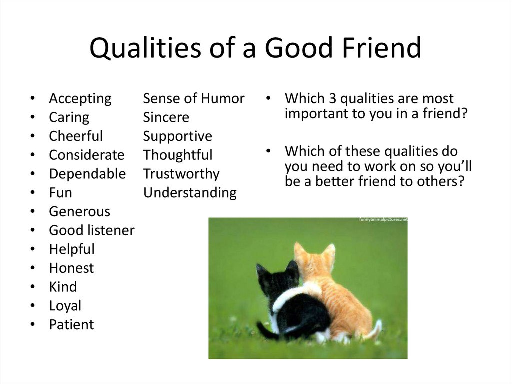 Friendship Qualities Of A Good Friend Online Presentation