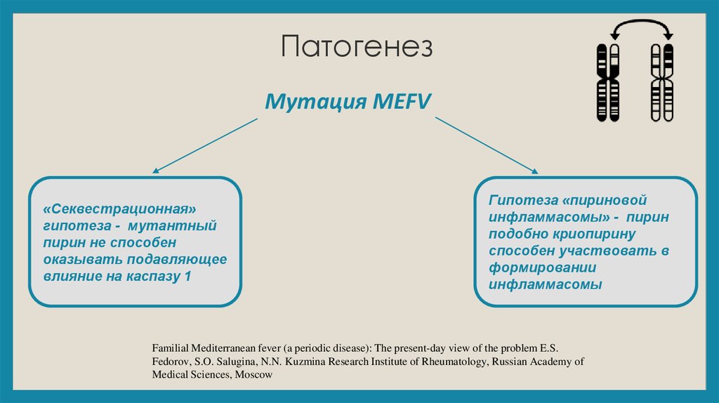 Периодическая болезнь презентация