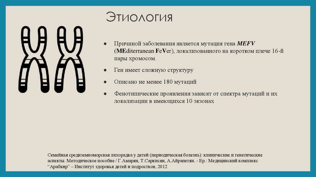 Периодически заболевание. Периодическая болезнь. Средиземноморская лихорадка периодическая болезнь. Периодическая болезнь этиология. Периодическая болезнь симптомы.