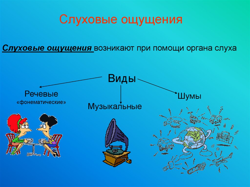 Слуховые ощущения. Речевые слуховые ощущения. Слуховые ощущения в психологии. Слуховые ощущения физиология.