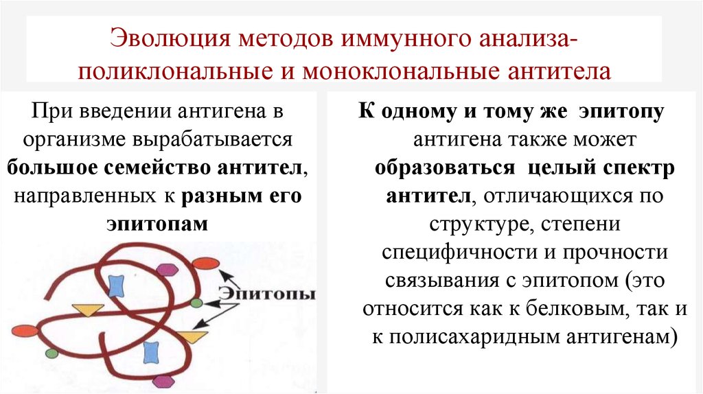 12 методов в картинках иммунологические технологии