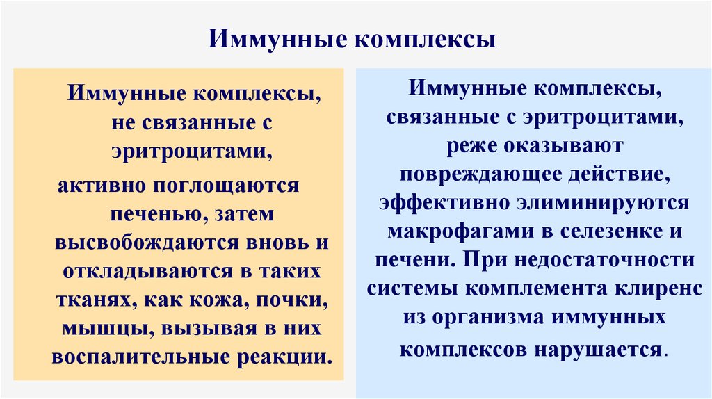 Иммун комплекс. Иммунные комплексы. Образование иммунных комплексов. Малый иммунный комплекс это. Причины образования малых иммунных комплексов.