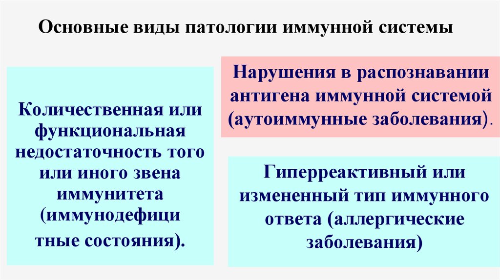 Патология иммунной системы презентация