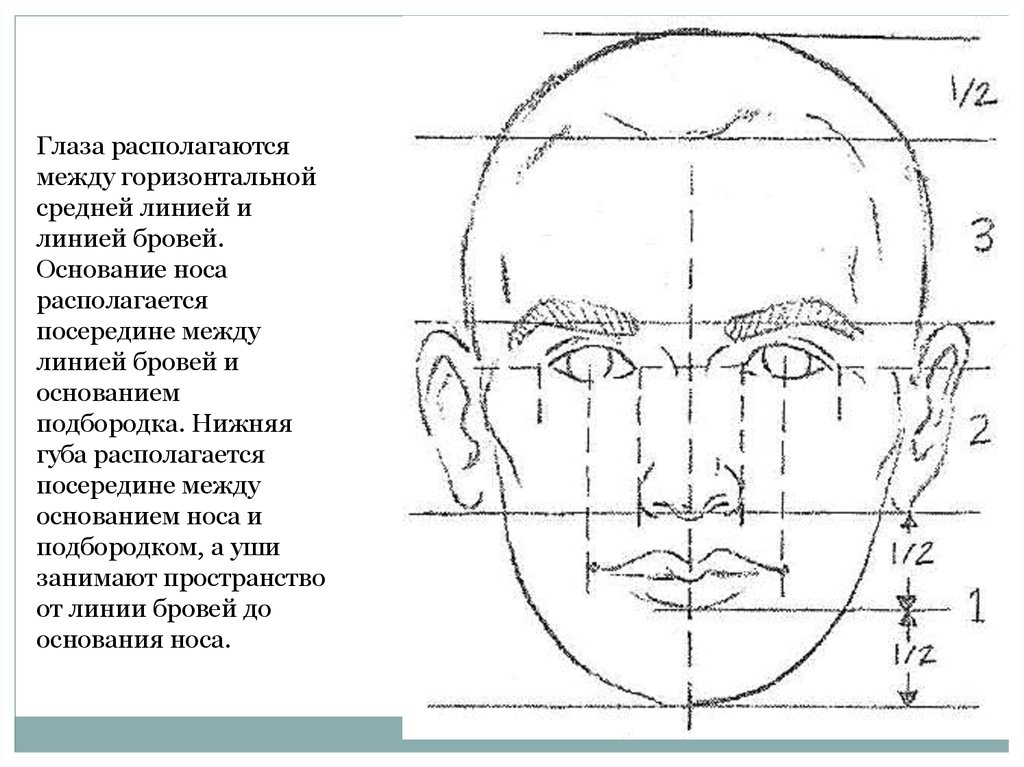 Схема нарисовать лицо