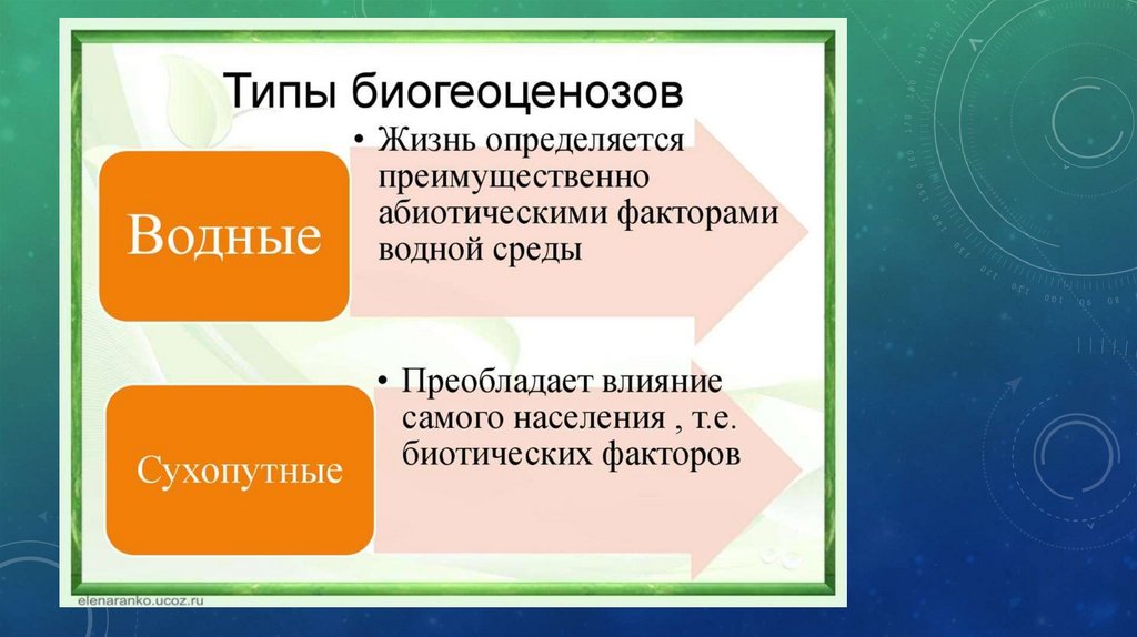 Разнообразие экосистем 11 класс биология. Разнообразие экосистем 11 класс биология