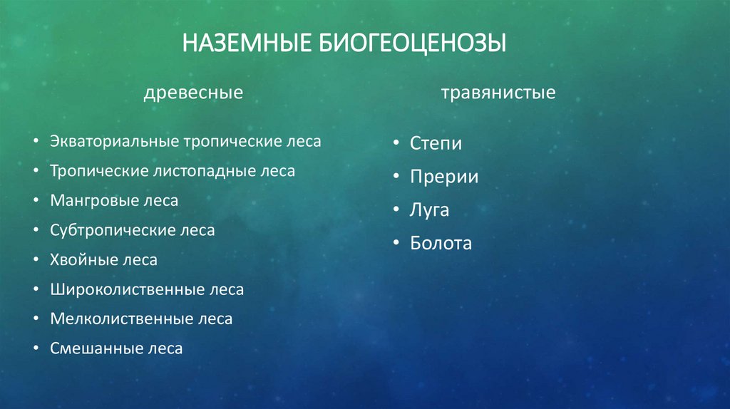 Наземные биогеоценозы