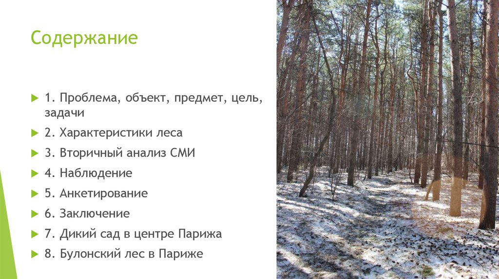 Цели и задачи леса. Объект и предмет леса. Объект цель задачи. Типы лесов предмет объект задачи. Лес и человек цели изадачи.