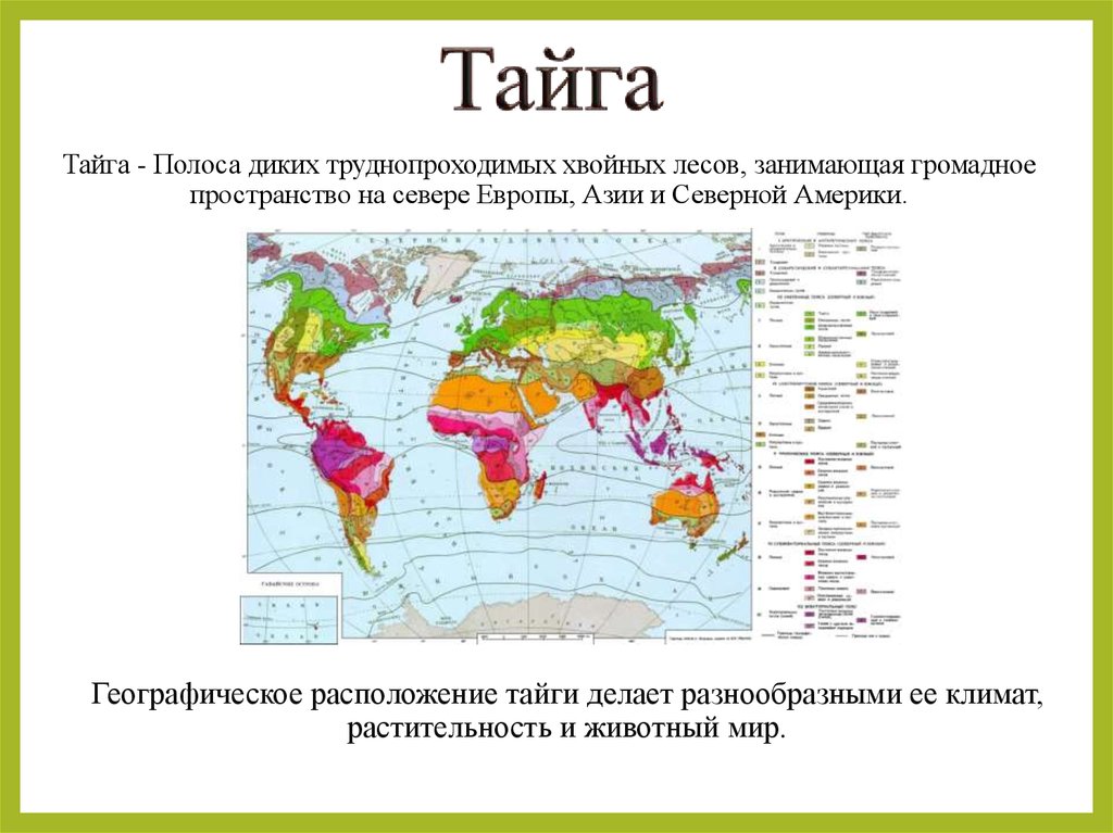 Хвойные леса какая природная зона. Природная зона Тайга географическое положение. Где находится Тайга на карте природных зон России. Географическое положение тайги на карте. Природные зоны Евразии Тайга.