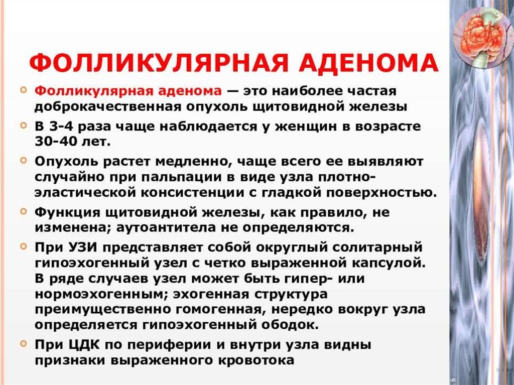 Цитологическая картина фолликулярной опухоли щитовидной железы bethesda 4 что значит у женщин