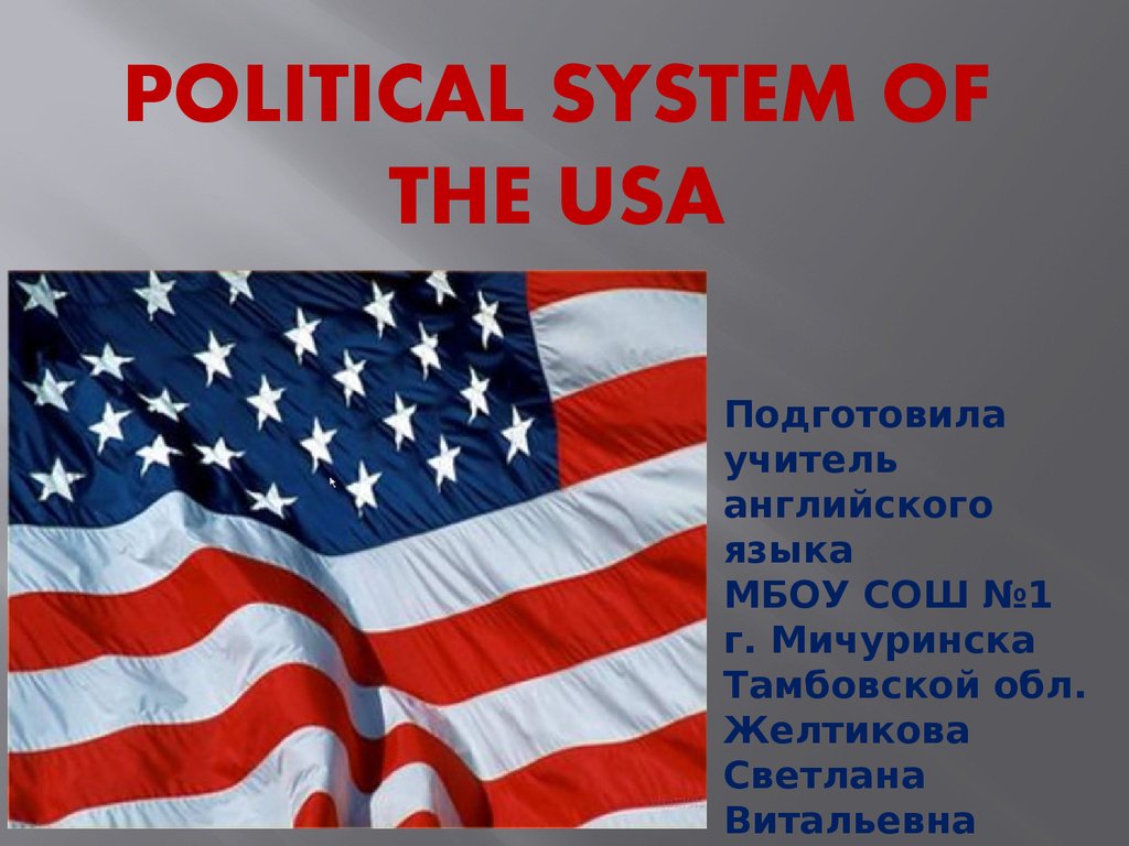 Political System Of The USA Online Presentation