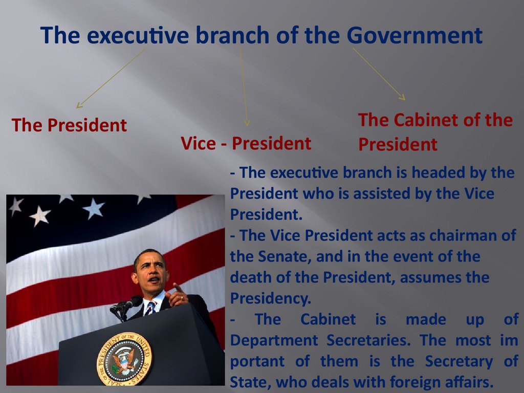 The executive branch of the Government