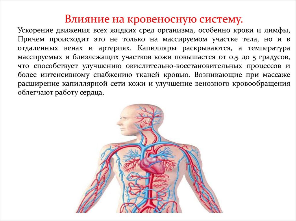 Воздействие на нервную систему. Влияние массажа на организм. Влияние массажа на организм человека. Влияние массажа на кровеносную систему. Влияние массажа на функциональное состояние организма.