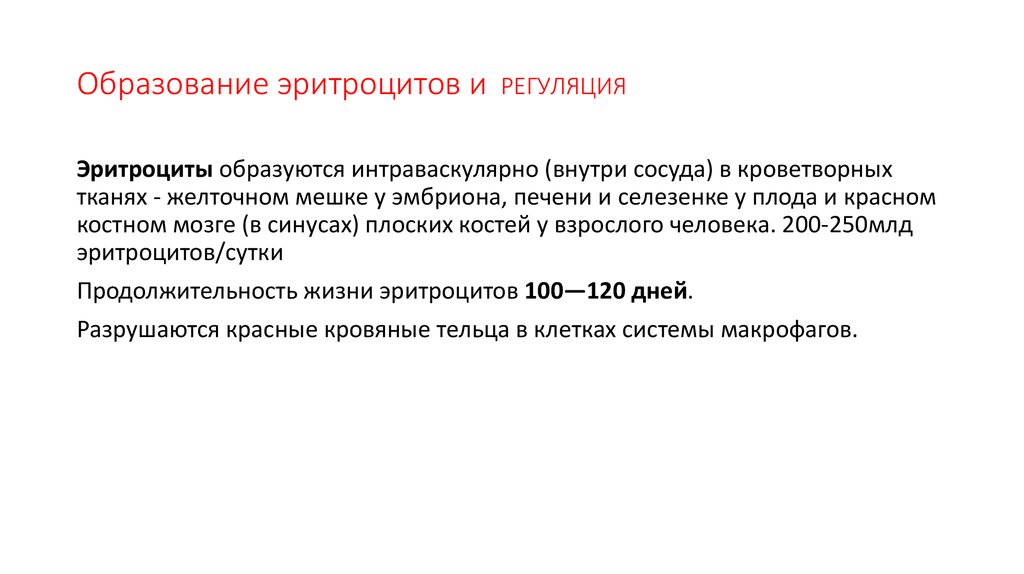 Образование эритроцитов. Регуляция образования эритроцитов. Участие эритроцитов в регуляции тонуса сосудов. Механизмы регуляции эритроцитарной системы. Интраваскулярно образуются.