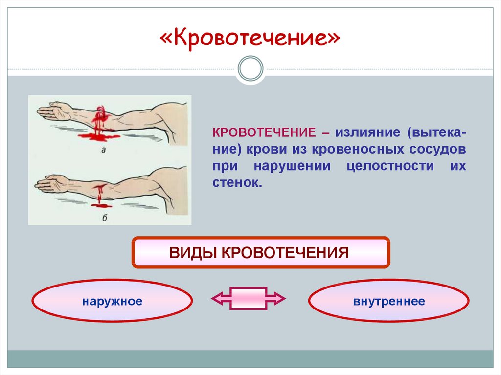 Презентация по обж первая помощь при кровотечениях